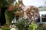 2009-03-14_16-05-14_DSC_8913.jpg