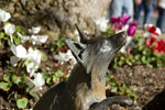 2009-03-15_16-19-31_DSC_8988.jpg