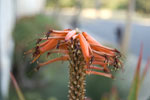 2009-03-15_18-00-30_DSC_9024.jpg