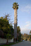 2009-03-15_18-09-29_DSC_9033.jpg