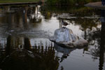 2009-03-15_18-33-52_DSC_9057.jpg