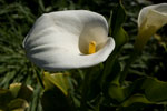 2009-03-16_10-29-48_DSC_9080.jpg
