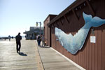 2009-03-16_10-56-20_DSC_9109.jpg