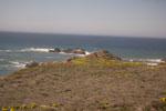 2009-03-16_14-01-11_DSC_9162.jpg