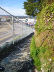 2009-03-17_17-27-20_IMGP4597.jpg