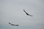 2009-03-18_13-12-18_DSC_9240.jpg