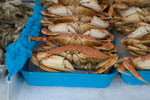 2009-03-18_13-27-09_DSC_9263.jpg