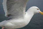 2009-03-18_14-05-01_DSC_9283.jpg