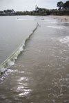 2009-03-18_14-23-48_DSC_9291.jpg