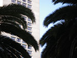 2009-03-20_17-31-20_IMGP4702.jpg