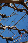 2009-03-22_15-46-57_DSC_9399.jpg