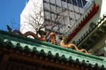 2009-03-22_15-59-44_DSC_9420.jpg