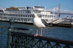 2009-03-22_16-58-59_DSC_9524.jpg