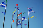 2009-03-22_17-30-29_DSC_9557.jpg