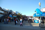 2009-03-22_17-40-21_DSC_9571.jpg