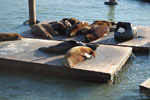 2009-03-22_18-02-01_DSC_9626.jpg