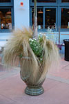 2009-03-22_18-21-41_DSC_9659.jpg