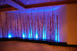 2009-03-27_14-56-42_DSC_9782.jpg