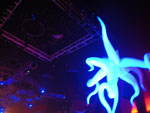 2009-03-29_03-10-41_IMGP5122.jpg