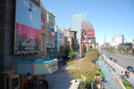 2009-03-30_14-00-33_DSC_0189.jpg