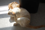 2009-04-02_08-15-52_DSC_0342.jpg