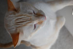 2009-04-02_08-17-58_DSC_0355.jpg