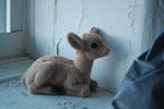 2009-04-03_18-56-49_DSC_0376.jpg