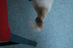 2009-04-03_18-58-13_DSC_0382.jpg