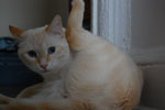 2009-04-04_13-19-40_DSC_0412.jpg