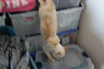2009-04-05_17-24-57_DSC_0445.jpg