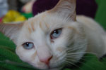 2009-04-08_14-21-09_DSC_0537.jpg