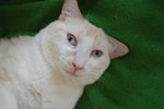 2009-04-08_14-23-29_DSC_0553.jpg