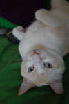 2009-04-08_14-23-46_DSC_0556.jpg