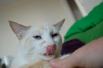 2009-04-08_14-24-15_DSC_0561.jpg