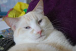 2009-04-08_14-25-53_DSC_0575.jpg