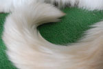 2009-04-08_14-31-36_DSC_0636.jpg