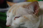 2009-04-08_14-32-50_DSC_0641.jpg