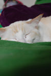 2009-04-08_14-35-07_DSC_0650.jpg