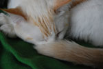 2009-04-08_14-38-05_DSC_0662.jpg