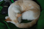 2009-04-08_14-38-38_DSC_0668.jpg