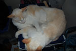 2009-04-08_22-07-42_DSC_0674.jpg