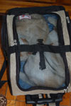 2009-04-10_11-30-01_DSC_0705.jpg