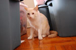 2009-04-10_11-39-25_DSC_0713.jpg