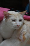 2009-04-10_12-18-45_DSC_0732.jpg