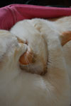 2009-04-10_12-18-57_DSC_0741.jpg