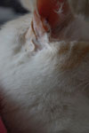 2009-04-10_12-19-18_DSC_0750.jpg