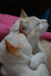 2009-04-10_12-19-28_DSC_0755.jpg