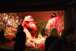 2009-04-10_20-14-45_DSC_0905.jpg