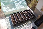 2009-04-12_15-14-25_DSC_0981.jpg