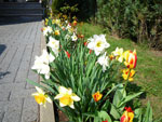 2009-04-14_11-30-40_IMGP5473.jpg
